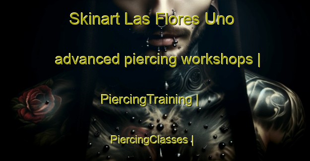 Skinart Las Flores Uno advanced piercing workshops | PiercingTraining | PiercingClasses | SkinartTraining-Mexico